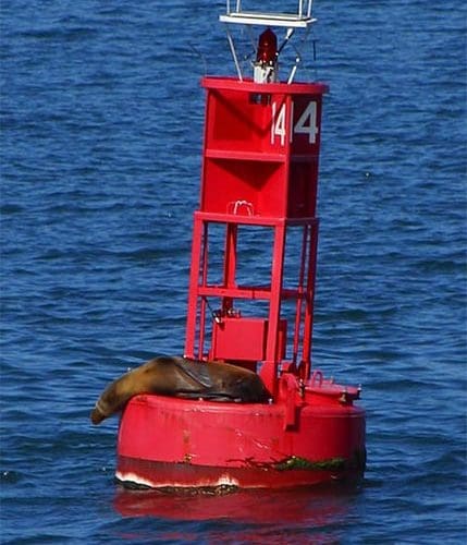 Buoy Seal