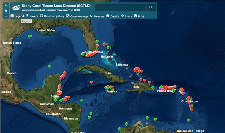 Red areas indicate areas of confirmed stony coral tissue loss disease in the Caribbean and Straits of Florida.