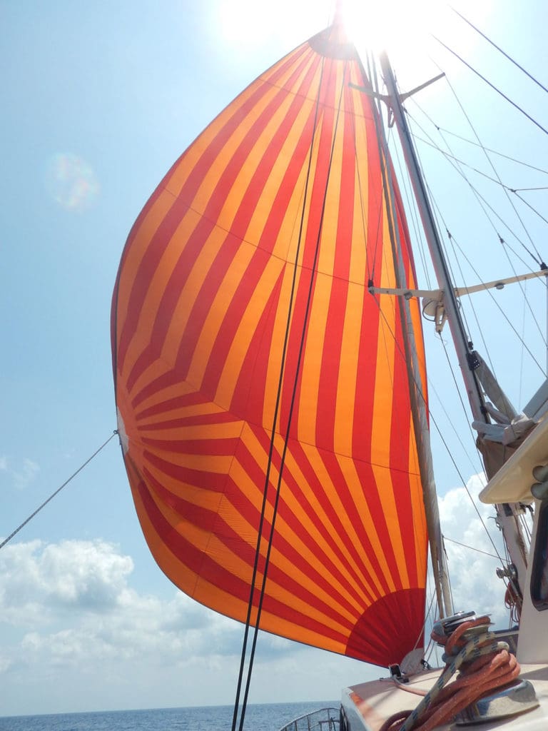 Amarula’s colorful headsail pulls the cat along.