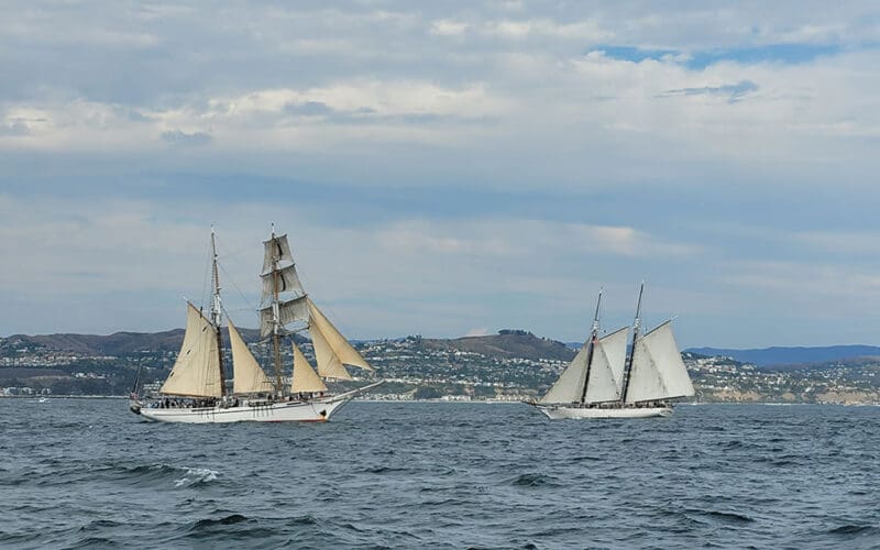 The schooners Irving Johnson, left, and Bill of RIghts taking part in the Dana Point, California maritime festival.