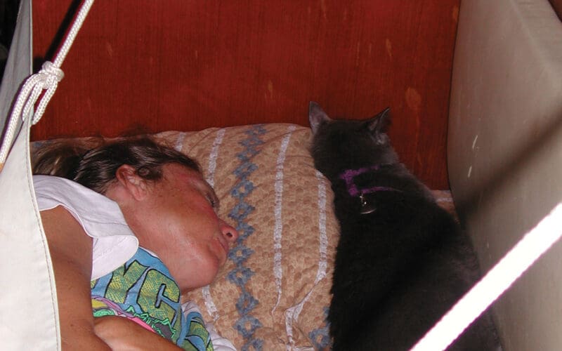 Ann and Pearl the cat asleep in Oddly Enough’s sea berth.